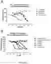 Fig. 08 - Polynucleotides encoding IL33 antibodies and methods of using the same