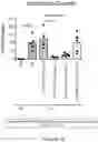 Fig. 49 - Polynucleotides encoding IL33 antibodies and methods of using the same