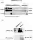 Fig. 04 - Cancer therapeutic methods utilizing OPCML fragment