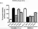 Fig. 09 - Cancer therapeutic methods utilizing OPCML fragment
