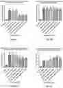 Fig. 02 - Combination of plasma immunoglobulin and antigen-specific immunoglobulin for the modification of the immune system and the treatment or prevention of allergic diseases