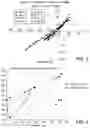 Fig. 03 - Therapeutic Treatment