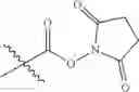 Fig. 28 - Polymers with rigid spacing groups comprising biologically active compounds