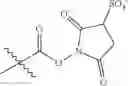 Fig. 29 - Polymers with rigid spacing groups comprising biologically active compounds