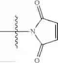 Fig. 31 - Polymers with rigid spacing groups comprising biologically active compounds
