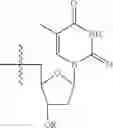 Fig. 78 - Polymers with rigid spacing groups comprising biologically active compounds