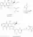 Fig. 89 - Polymers with rigid spacing groups comprising biologically active compounds
