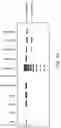 Fig. 35 - Biologically active compound conjugated to a stapled or stitched peptide