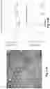 Fig. 05 - Magnetic particle conjugates, micelles, and methods of delivering agents