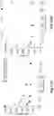 Fig. 14 - Magnetic particle conjugates, micelles, and methods of delivering agents