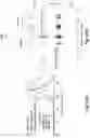 Fig. 15 - Magnetic particle conjugates, micelles, and methods of delivering agents