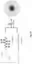 Fig. 33 - Magnetic particle conjugates, micelles, and methods of delivering agents