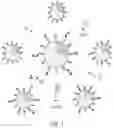 Fig. 02 - NANOPARTICLE IMMUNOCONJUGATES