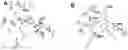 Fig. 01 - ICARIIN DERIVATIVES