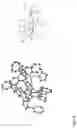 Fig. 09 - Process for polymerizing β-butyrolactone