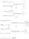 Fig. 07 - Polymeric alpha-hydroxy aldehyde and ketone reagents and conjugation method