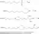 Fig. 41 - Polymeric alpha-hydroxy aldehyde and ketone reagents and conjugation method