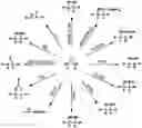 Fig. 01 - Polyol polyester and polyhydroxy alkane blends with polar polymers