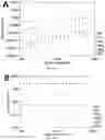 Fig. 06 - FILMS AND COMPOSITES AND METHODS OF PRODUCTION AND USE