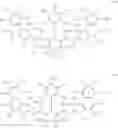 Fig. 05 - Optical filter and imaging device