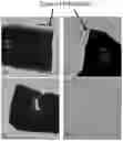 Fig. 01 - Composite resins containing silver nanoparticles