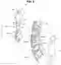 Fig. 06 - Washing machine