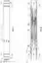 Fig. 02 - Apparatus for downhole fracking and a method thereof