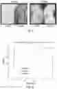 Fig. 05 - Thermal management system