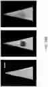 Fig. 47 - Sample dispenser including an internal standard and methods of use thereof