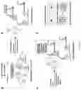 Fig. 02 - Chemical probe-dependent evaluation of protein activity and uses thereof
