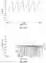 Fig. 21 - Liquid crystal element, deflection element, and eyeglasses