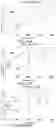 Fig. 22 - Liquid crystal element, deflection element, and eyeglasses