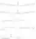 Fig. 16 - Polarizing plate, circularly polarizing plate, and display device