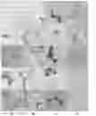 Fig. 09 - SYSTEMS AND METHODS FOR AUTOMATICALLY INTERPRETING IMAGES OF MICROBIOLOGICAL SAMPLES