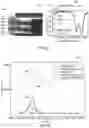 Fig. 07 - Method and system for waveguide thermophotovoltaic power generation