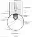 Fig. 53 - Power outlet cameras