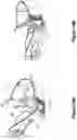 Fig. 09 - Seed entrainment unit
