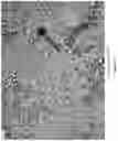 Fig. 07 - EMULSIFYING SALT-FREE AND STARCH STABILIZED CHEESE
