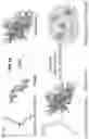 Fig. 02 - Nanoparticle-hydrogel composite for nucleic acid molecule delivery