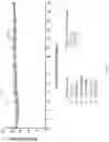 Fig. 03 - COMPOSITIONS COMPRISING 15-HEPE AND/OR 15-HETrE AND METHODS OF TREATING OR PREVENTING CARDIOMETABOLIC DISEASE, METABOLIC SYNDROME, AND/OR RELATED DISEASES