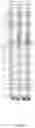 Fig. 42 - COMPOSITIONS COMPRISING 15-HEPE AND/OR 15-HETrE AND METHODS OF TREATING OR PREVENTING CARDIOMETABOLIC DISEASE, METABOLIC SYNDROME, AND/OR RELATED DISEASES