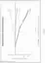 Fig. 54 - COMPOSITIONS COMPRISING 15-HEPE AND/OR 15-HETrE AND METHODS OF TREATING OR PREVENTING CARDIOMETABOLIC DISEASE, METABOLIC SYNDROME, AND/OR RELATED DISEASES