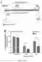 Fig. 15 - PROLYLHYDROXYLASE/ATF4 INHIBITORS AND METHODS OF USE FOR TREATING NEURAL CELL INJURY OR DEATH AND CONDITIONS RESULTING THEREFROM