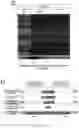 Fig. 18 - PROLYLHYDROXYLASE/ATF4 INHIBITORS AND METHODS OF USE FOR TREATING NEURAL CELL INJURY OR DEATH AND CONDITIONS RESULTING THEREFROM