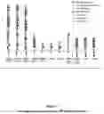 Fig. 02 - DIGALLIC ACID FOR REDUCTION OF INFLAMMATORY CYTOKINE ACTIVITY