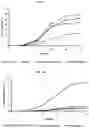 Fig. 08 - Fructophilic lactic acid producing bacteria