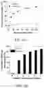 Fig. 07 - Pharmaceutical composition for preventing or treating diabetic complications