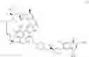 Fig. 02 - USE OF RIFAMYCIN-QUINOLIZIDONE COUPLING MOLECULE