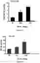 Fig. 04 - PROTOCOL FOR MINIMIZING TOXICITY OF COMBINATION DOSAGES AND IMAGING AGENT FOR VERIFICATION