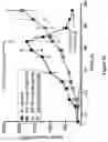 Fig. 14 - PROTOCOL FOR MINIMIZING TOXICITY OF COMBINATION DOSAGES AND IMAGING AGENT FOR VERIFICATION
